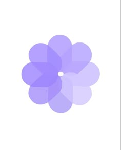 a purple flower on a white background