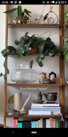 a shelf filled with lots of green plants and other things on top of it's shelves