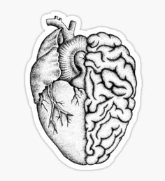 the human heart and brain sticker is shown in black and white, on a white background