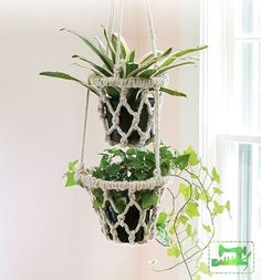 two hanging planters filled with plants in front of a window