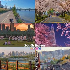 four different pictures with the same city and trees in each photo, along with text that reads south korea