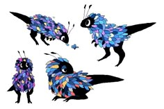 three different types of birds with colorful feathers on their wings, one is black and the other is blue