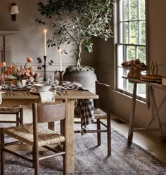 a dining room table with chairs and a potted tree