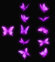 purple butterflies are glowing in the dark