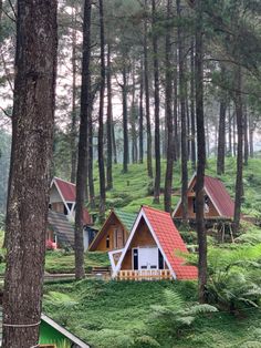 several small houses in the woods with red roofing and green grass on the ground