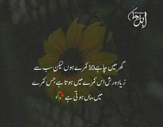 an image of a yellow flower in the dark with words written on it and arabic writing