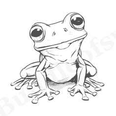 a frog with big eyes sitting on the ground