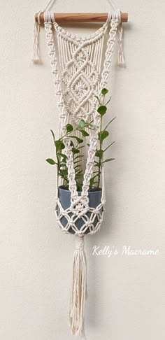 a macrame hanging planter with plants in it