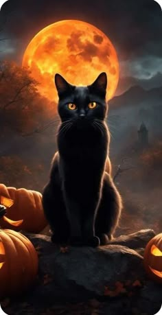 a black cat sitting on top of a pile of pumpkins in front of a full moon