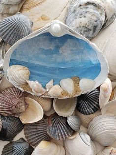 seashells and other sea shells are arranged in the shape of a shell on top of each other