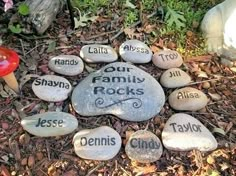 some rocks that have names on them