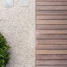 a wooden door next to a white wall and green planter on the side of a building