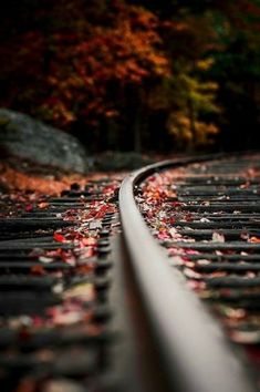 a train track with leaves on it and trees in the backgroud behind it