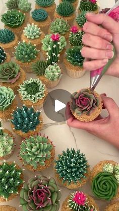 someone is decorating cupcakes with fake succulents