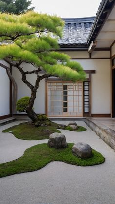 a bonsai tree in the middle of a courtyard with rocks and grass on the ground