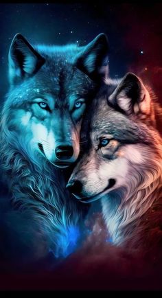 two wolfs with blue eyes and stars in the background