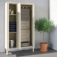 an open cabinet next to a potted plant