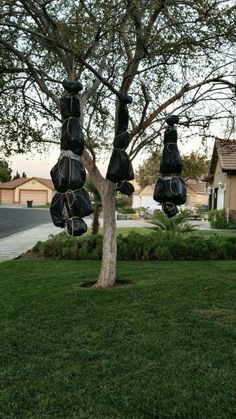 a tree with bags hanging from it's branches