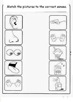 the worksheet for an activity to teach children how to read and understand words