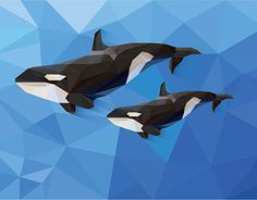 two orca whales are swimming in the blue water with low polygonic background