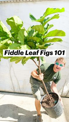 a young man holding a potted plant in his hands and smiling at the camera