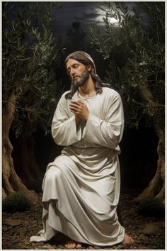 Person in white robes kneeling and praying in a garden under the moonlight.