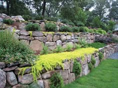 a stone wall with plants growing on it in the middle of a grassy area next to a pool