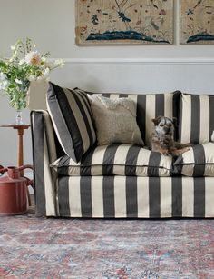 a dog sitting on top of a striped couch