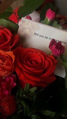 a bouquet of red roses sitting next to a card that says will you be my valentine?