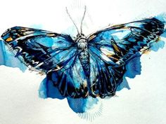 a watercolor painting of a blue butterfly