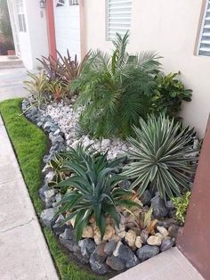 a garden with rocks and plants next to a house