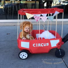 a small red wagon with a baby in it's seat and a lion costume on top