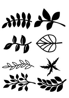 the silhouettes of leaves and branches are shown in black on a white background,