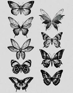 six different types of butterflies in black and white