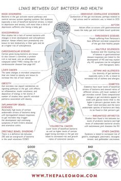 Fitness Snacks, The Paleo Mom, Human Biology, Paleo Mom, Gut Brain, Gut Bacteria, Physical Pain, Gut Healing, Gut Microbiome