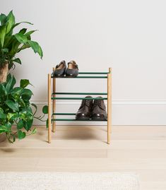 two pairs of shoes are sitting on a shoe rack next to a potted plant