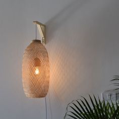 a light that is on the wall next to a potted plant and some plants