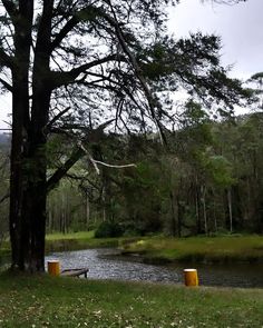 there is a bench next to the water in the park with no one around it