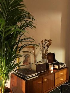 a living room with a plant on top of a dresser