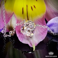 Magical Light, Star Of The Day, Luxurious Jewelry, Wedding Day Jewelry, Photo Of The Day, Four Corners, Light Show, Beautiful Necklace, Brilliant Diamond