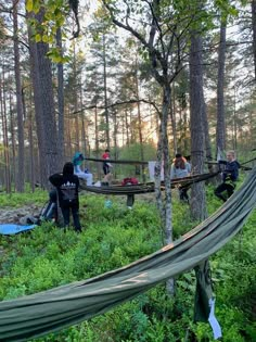 several people are sitting in hammocks in the woods