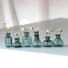 five glass vases with white flowers in them