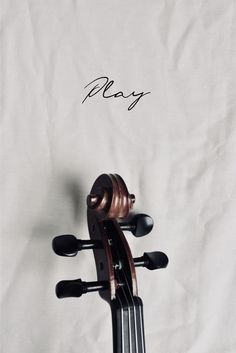 an image of a violin with the name play written on it's back side