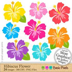 colorful hawaiian flowers are arranged in the shape of a flower on a white background with text that reads more graphics