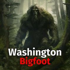 a bigfoot in the middle of a forest surrounded by tall trees and bushes with text reading washington bigfoot