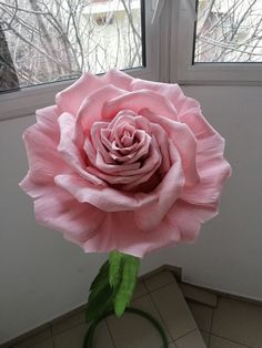 a pink rose is sitting in front of a window