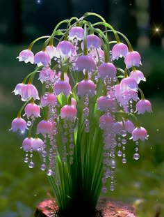 a bunch of flowers that are sitting in the grass with water droplets on them,