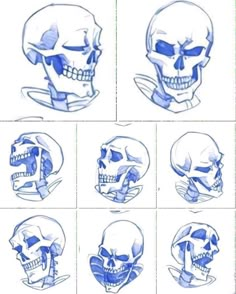 several different types of skulls drawn in blue ink