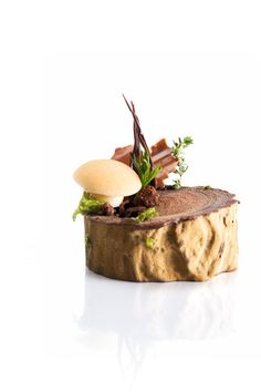 a piece of wood with some food on top of it and leaves in the middle