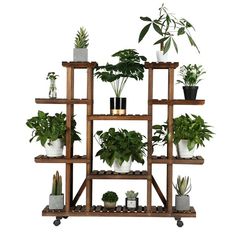 a wooden shelf filled with potted plants